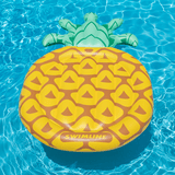 NEW PRODUCT Pineapple Slice Pool Float